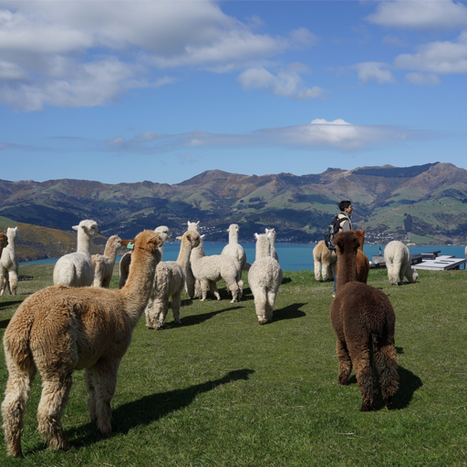 小程序,企業(yè)移動(dòng)辦公,OA,網(wǎng)站建設(shè),連云港網(wǎng)站,連云港網(wǎng)站開(kāi)發(fā)，系統(tǒng)開(kāi)發(fā)，微信開(kāi)發(fā)，微信公眾號(hào)，微信企業(yè)號(hào)，微信訂閱號(hào)，微信服務(wù)號(hào)開(kāi)發(fā),微教育